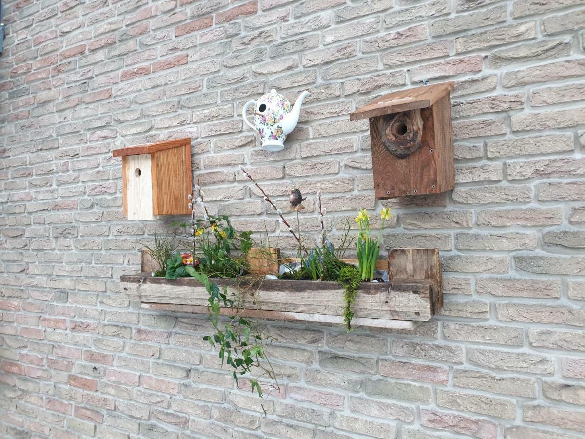 Ferienwohnung Vogelvilla Altenbeken Dış mekan fotoğraf